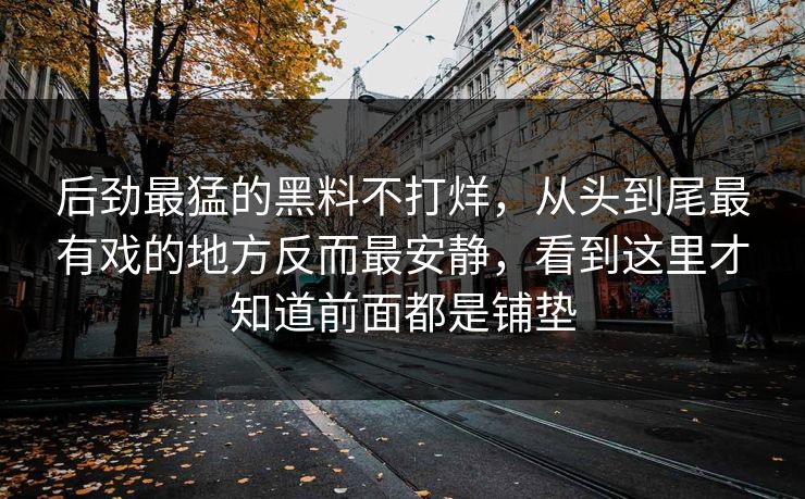 后劲最猛的黑料不打烊，从头到尾最有戏的地方反而最安静，看到这里才知道前面都是铺垫