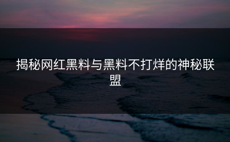 揭秘网红黑料与黑料不打烊的神秘联盟 揭秘网红黑料与黑料不打烊的神秘联盟