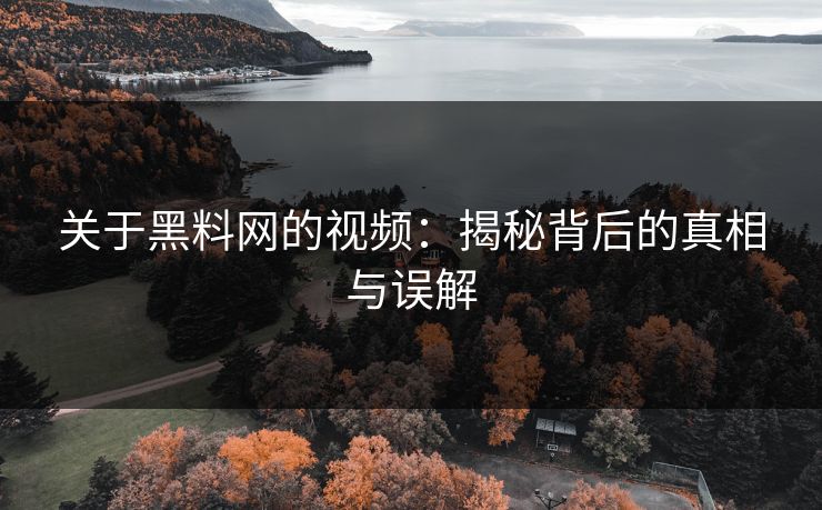 关于黑料网的视频：揭秘背后的真相与误解