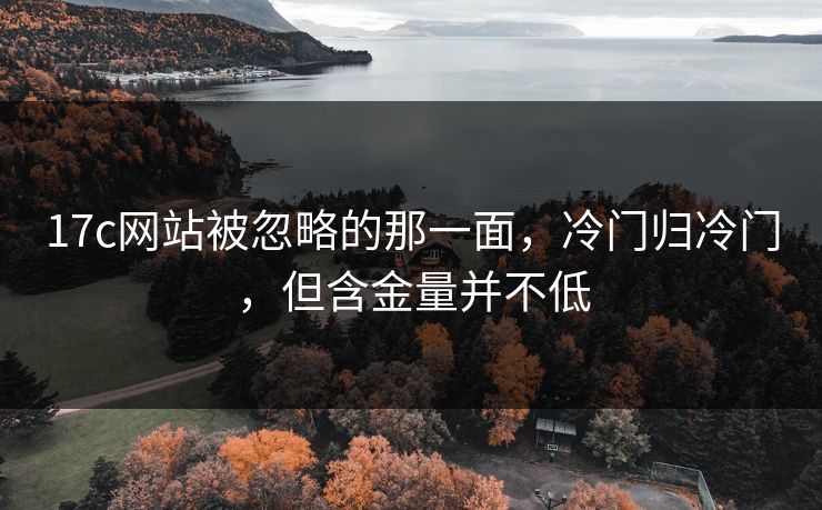17c网站被忽略的那一面,冷门归冷门,但含金量并不低 17c网站被忽略的那一面,冷门归冷门,但含金量并不低