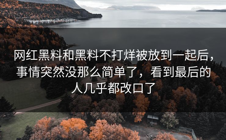 网红黑料和黑料不打烊被放到一起后,事情突然没那么简单了,看到最后的人几乎都改口了