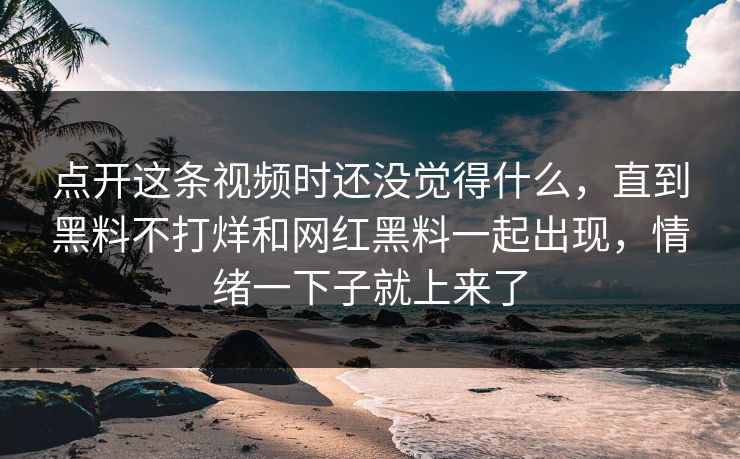 点开这条视频时还没觉得什么,直到黑料不打烊和网红黑料一起出现,情绪一下子就上来了