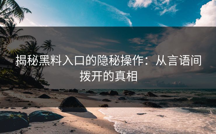 揭秘黑料入口的隐秘操作:从言语间拨开的真相
