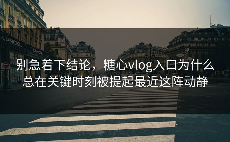 别急着下结论,糖心vlog入口为什么总在关键时刻被提起最近这阵动静